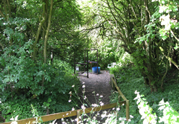 Clay Pigeon Shooting Ground