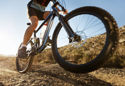 Mountain Biking Mountain Biking