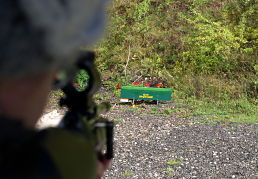 Hen Party Air Rifles Moving Target