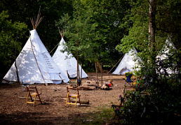 Woodland Retreat Derbyshire Woodland Retreat Derbyshire