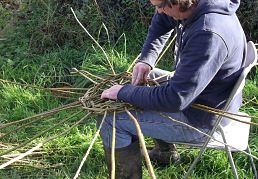 Willow Weaving Willow Weaving