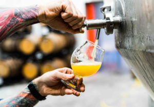 ale tasting